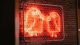 Birds neon sign