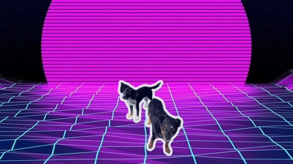 Dogs on neon background sign