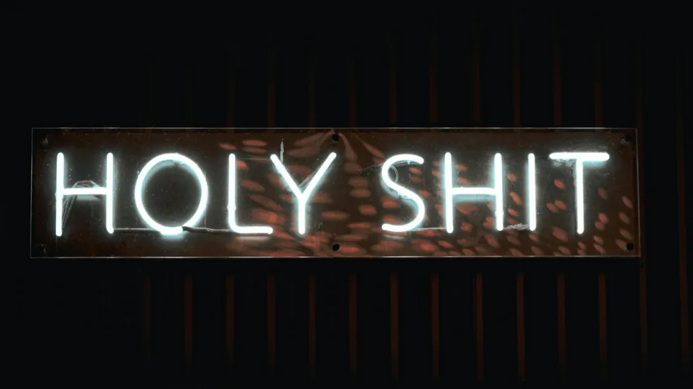 Holy shit neon sign