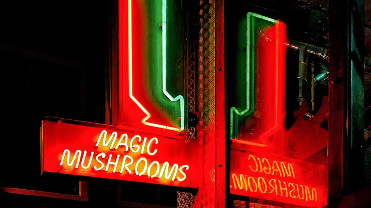 Silly mushroom neon sign