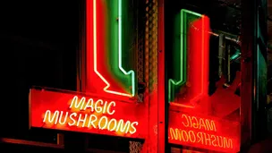 Silly mushroom neon sign