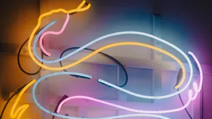Snake neon sign